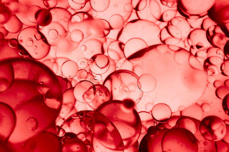 collagen and collagen peptides Image 3