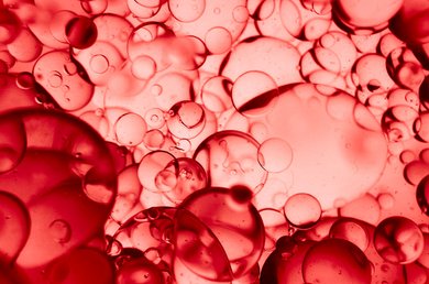 collagen and collagen peptides Image 3