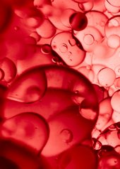 Vichy-Liftactiv-Collagen-Specialist-Photo-Ingredient-Collagen-Specialist-Peptide